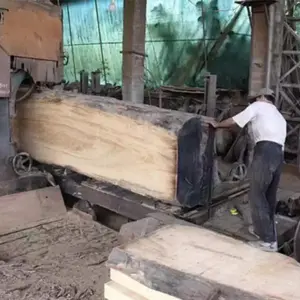 Operario guiando un gran tronco de madera en una planta de aserrío, el proceso inicial para obtener los Cortes de Pino a Medida de Ferrenova.